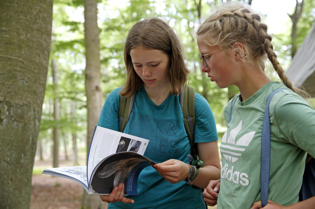 Slide image