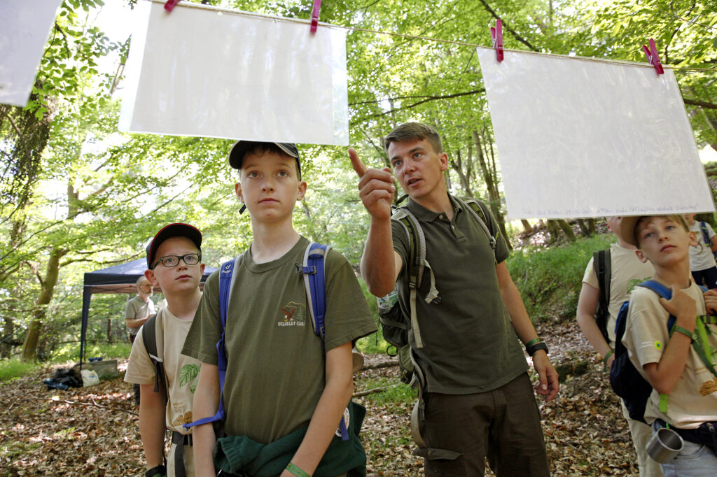 Slide image