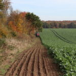 Ein Traktor fährt über einen Streifen Ackerboden zwischen Feld und Gehölzen