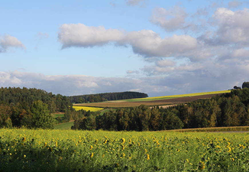 Eine Hügellandschaft mit unterschiedlich verwendeten Flächen, u.a. einer Wiese mit Sonnenblumen, Nutzflächen und Wälder.