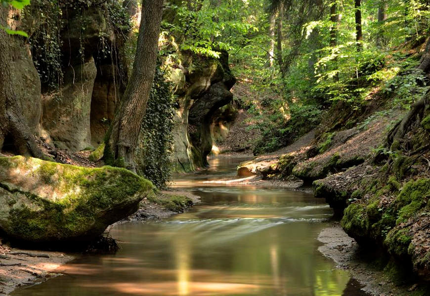 Die Bitterbachschlucht im Naturpark Fränkische Schweiz - Frankenjura.