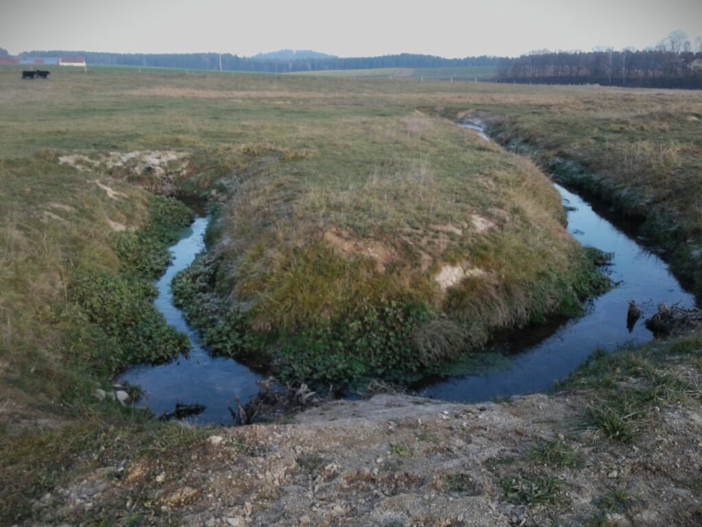 Mäander schaffen kleine Biotope zwischen den Bachschlingen