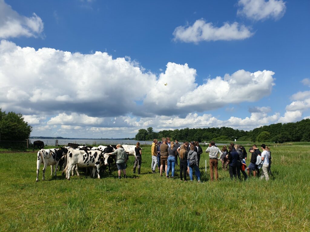 Klimafeste Landwirtschaft