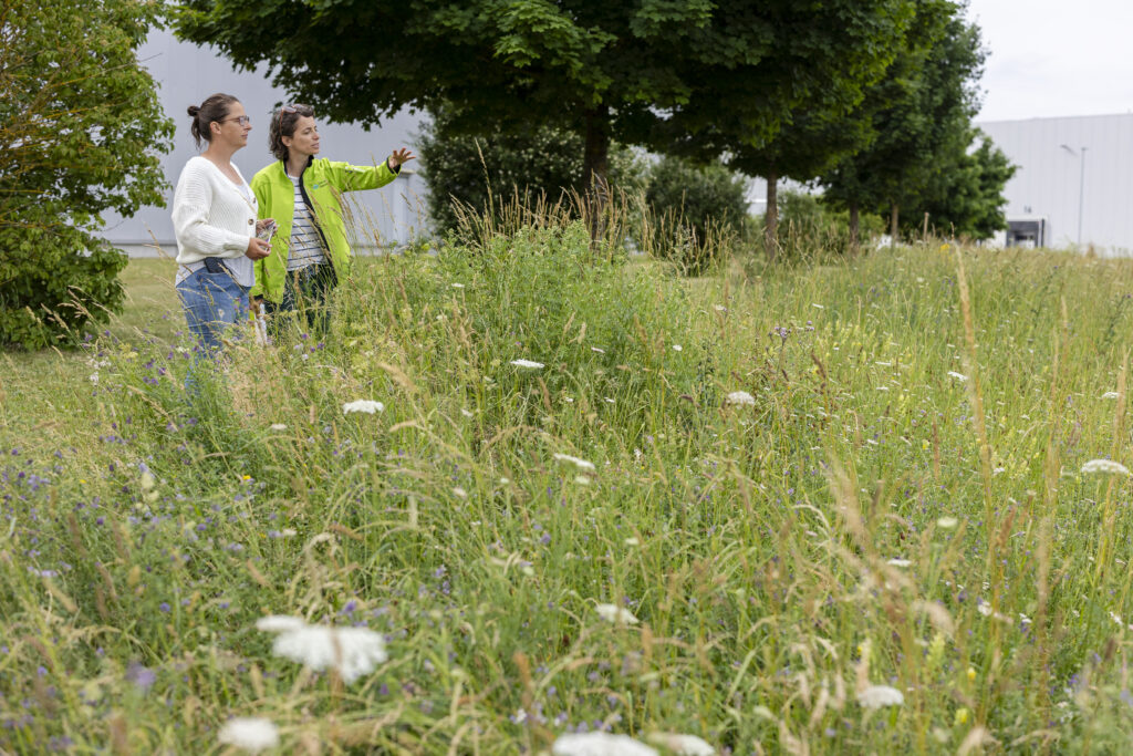Zwei Frauen stehen vor einer Blumenwiese. Im Hintergrund erkennt man Unternehmen.