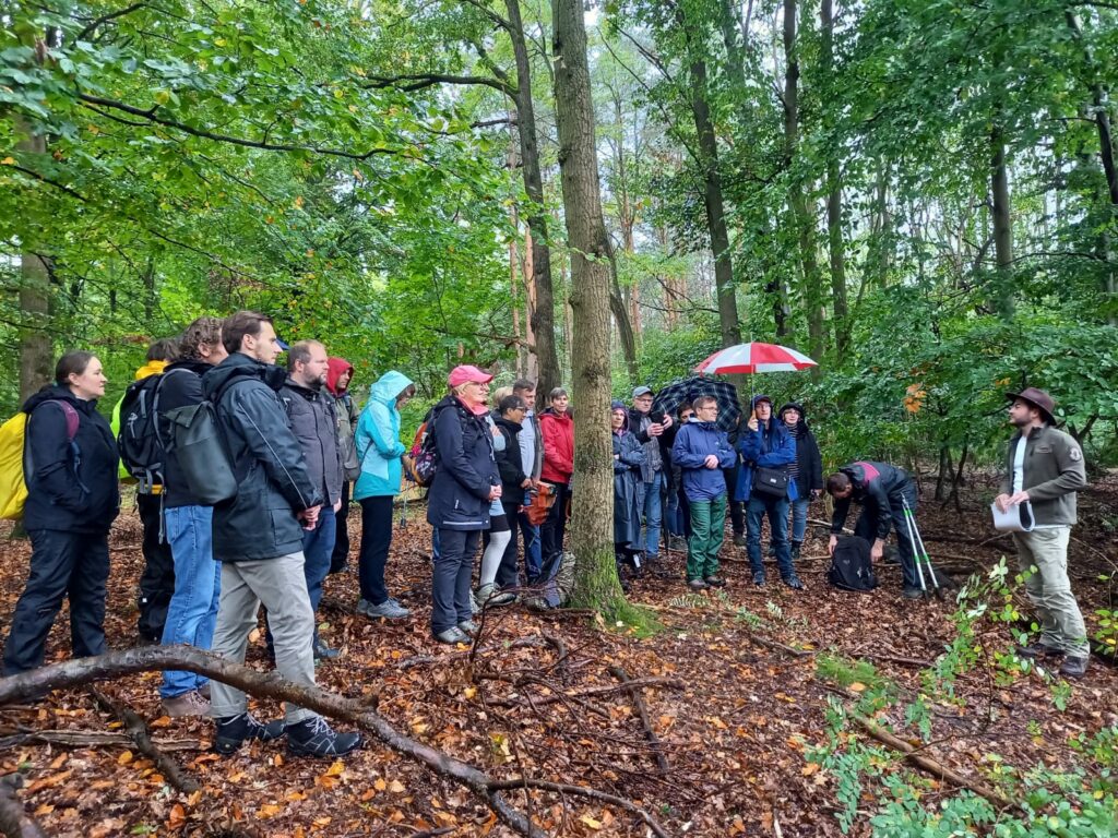 Zu sehen ist eine Gruppe Menschen im Wald, in wetterfester Kleidung. Alle Blicke sind in die Richtung eines Rangers gerichtet, der etwas erzählt.