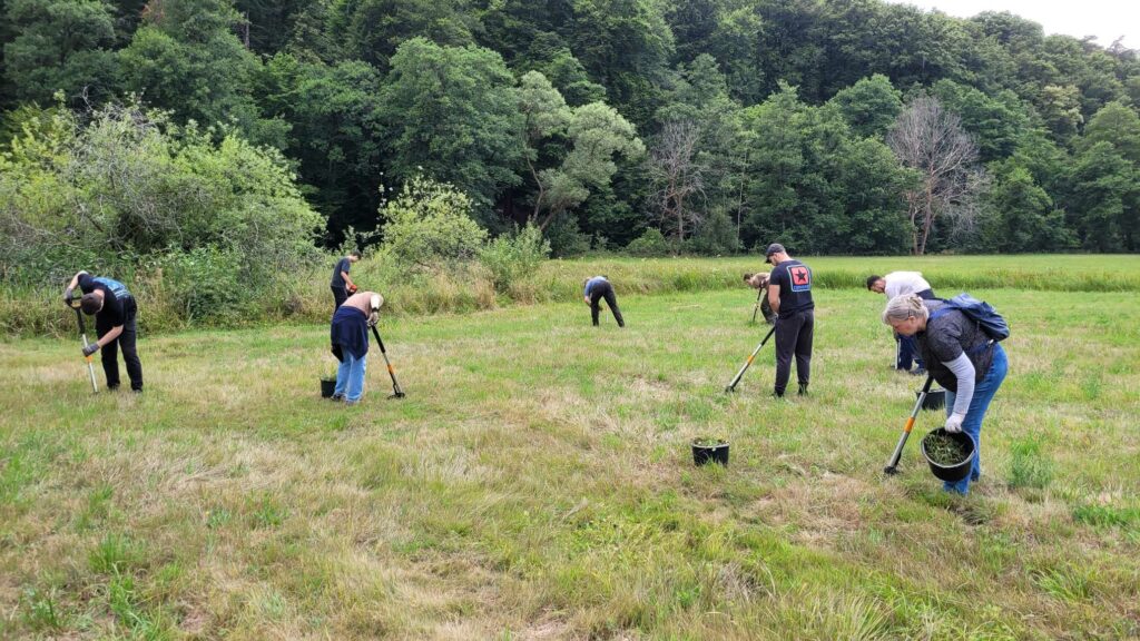 6 Personen stehen verteilt auf einer Wiese am Waldrand und arbeiten mit verschiedenem Werkzeug.
