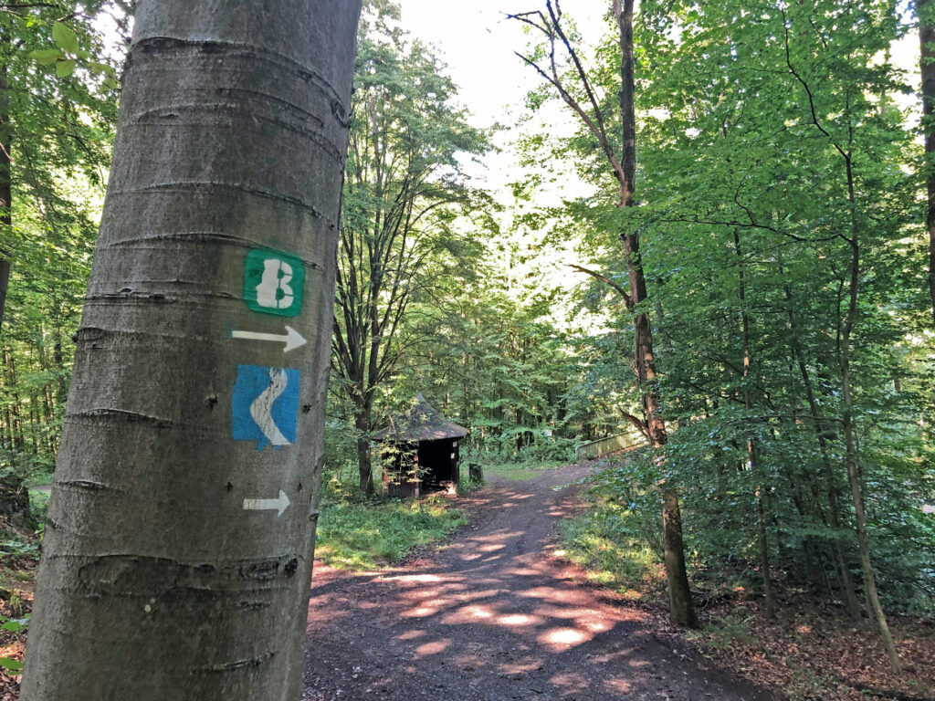 An einem Baum sind zwei Wanderwege angezeichnet.