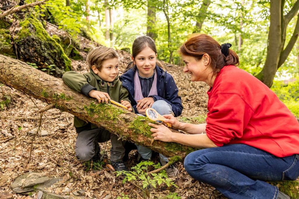 2 Kinder und eine erwachsene Person hocken auf dem Waldboden und untersuchen mit einer Lupe bemoostes Holz.