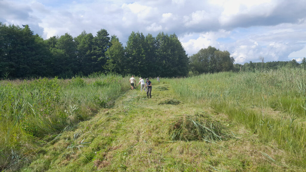 3 Personen beim Mähen und Material abtragen bei sonnigem Wetter.