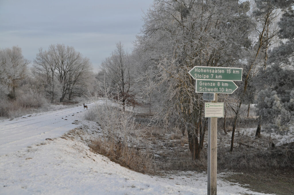 verschneiter Wanderweg mit Wegweiser im Winter
