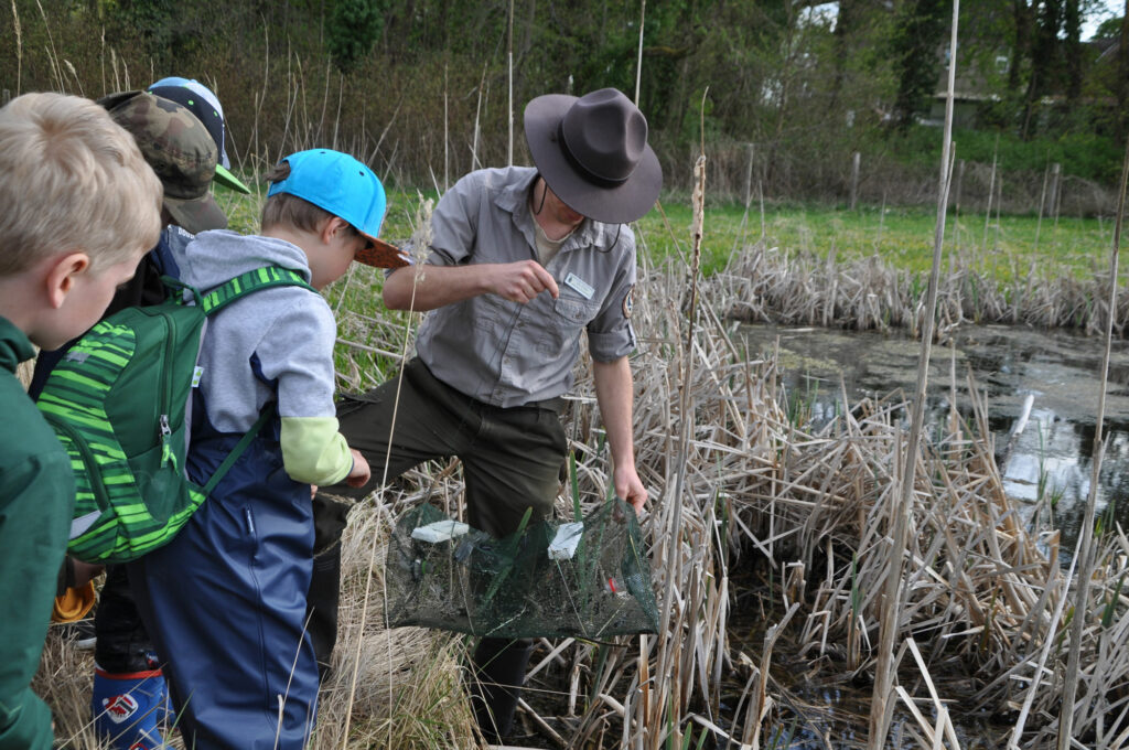 ein Ranger zeigt einer Gruppe Kindern eine Reuse am Teich