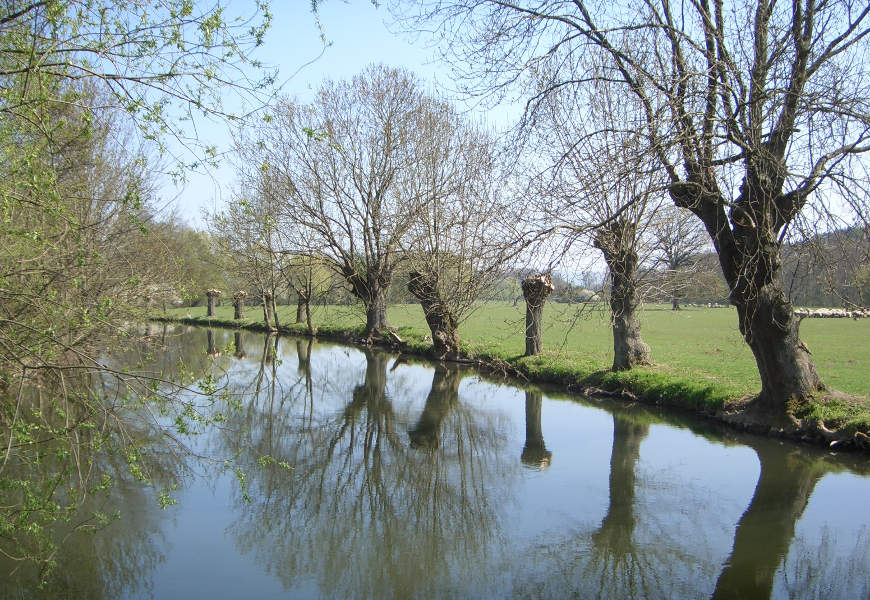 Ein Fluss und die Uferlandschaft mit Bäumen