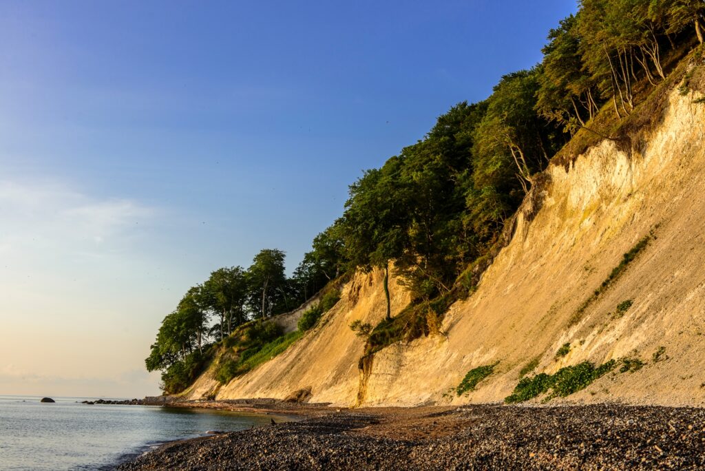 Die Kliffhänge der Kreidefelsen in der Abensonne. Oben reichen Buchen bis an den Abhang heran, geht Kiesstrand zu Meer über.