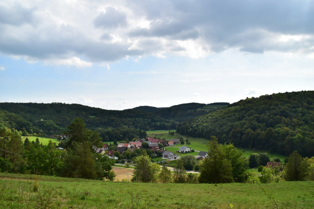 Slide image