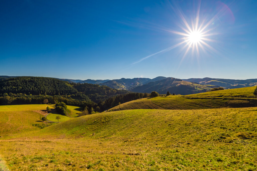 Die Landschaft mit hügelige Wiesen wird zum Horizont immer bewaldeter. Es ist strahlender Sonnenschein.