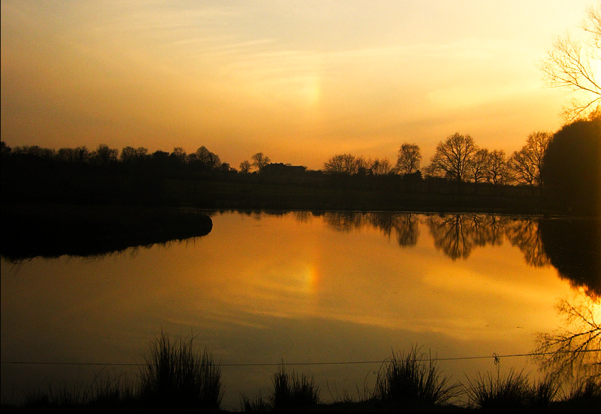 Der Sonnenuntergang spiegelt sich in einem See. Die Umrisse von Bäumen und Gräsern sind zu erkennen.