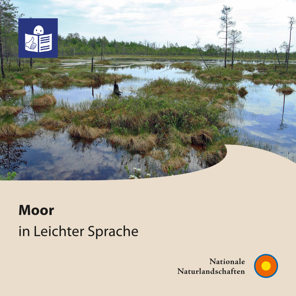 Titelblatt der Broschüre "Moor in Leichter Sprache"