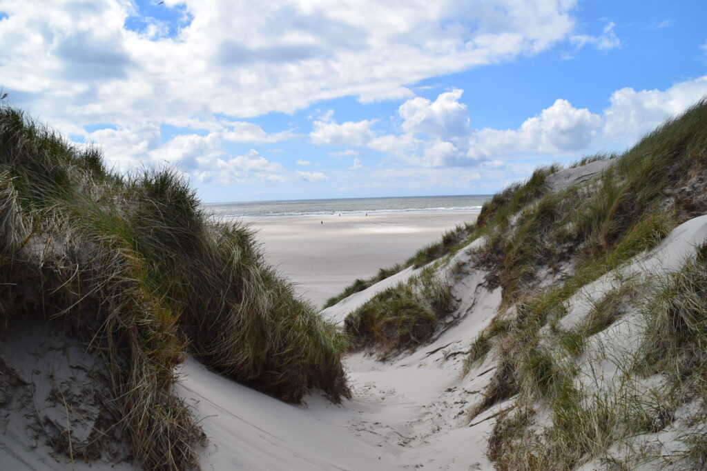 Sicht auf den Sandstrand und das Meer zwischen zwei Dünen hindurch. Die Sonne zaubert Lichtflecken auf den Sand.
