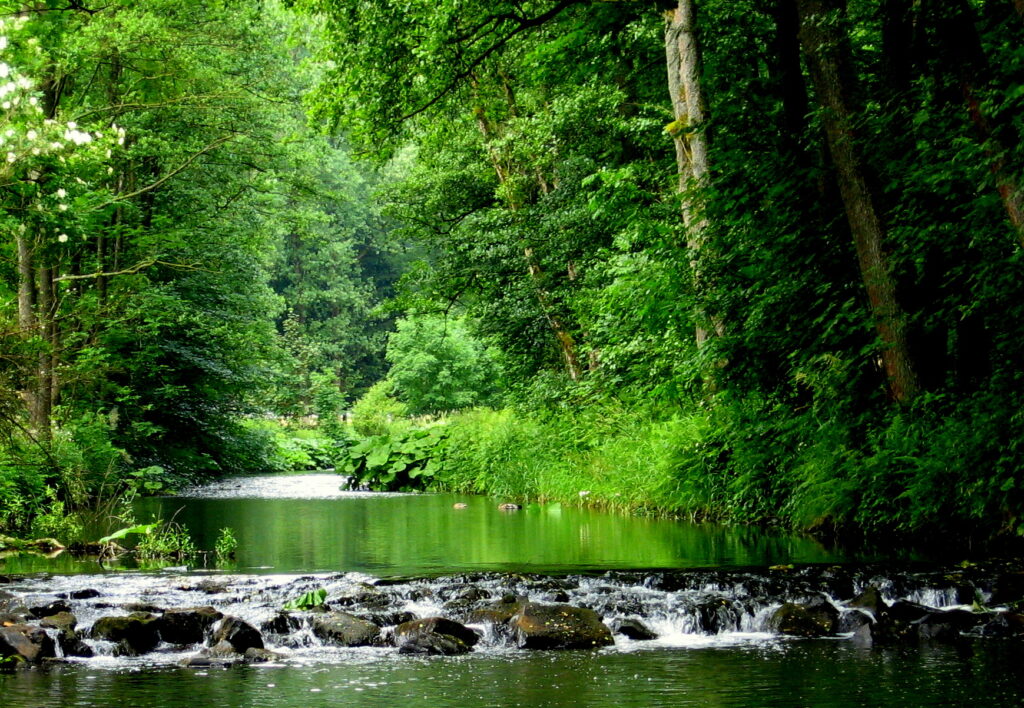 Der Fluss Rodach im Naturpark Frankenwald. © VDN-Fotoportal/Margrita Baaser