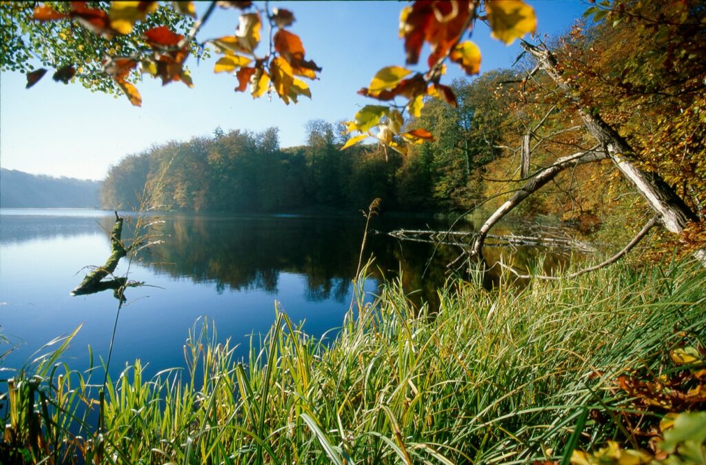 Der See grenzt an einen Wald, dessen Blätter sich Orange verfärbt haben.