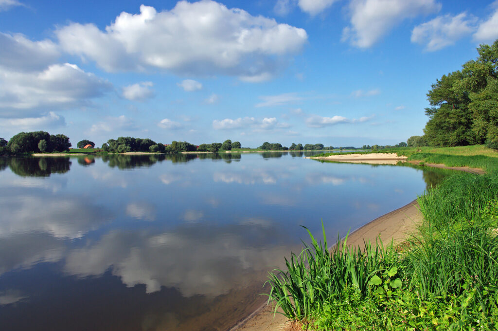 Das Wasser der Elbe ist sehr glatt und die Pflanzen am Ufer saftig Grün. Es sind Bäume und Schäfchen-Wolken in der Spiegelung des Wassers zu sehen.