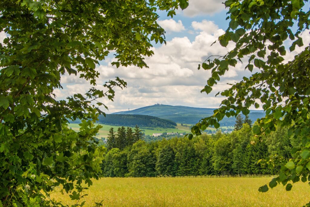 Ein Blick über Wiesen und Wälder auf den weit entfernten Fichtelberg.