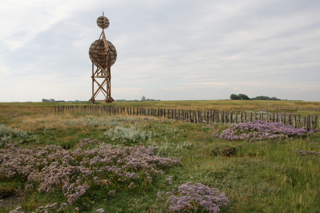 ein holzerners Bauwerk ragt aus der violetten Wiese in die Höhe