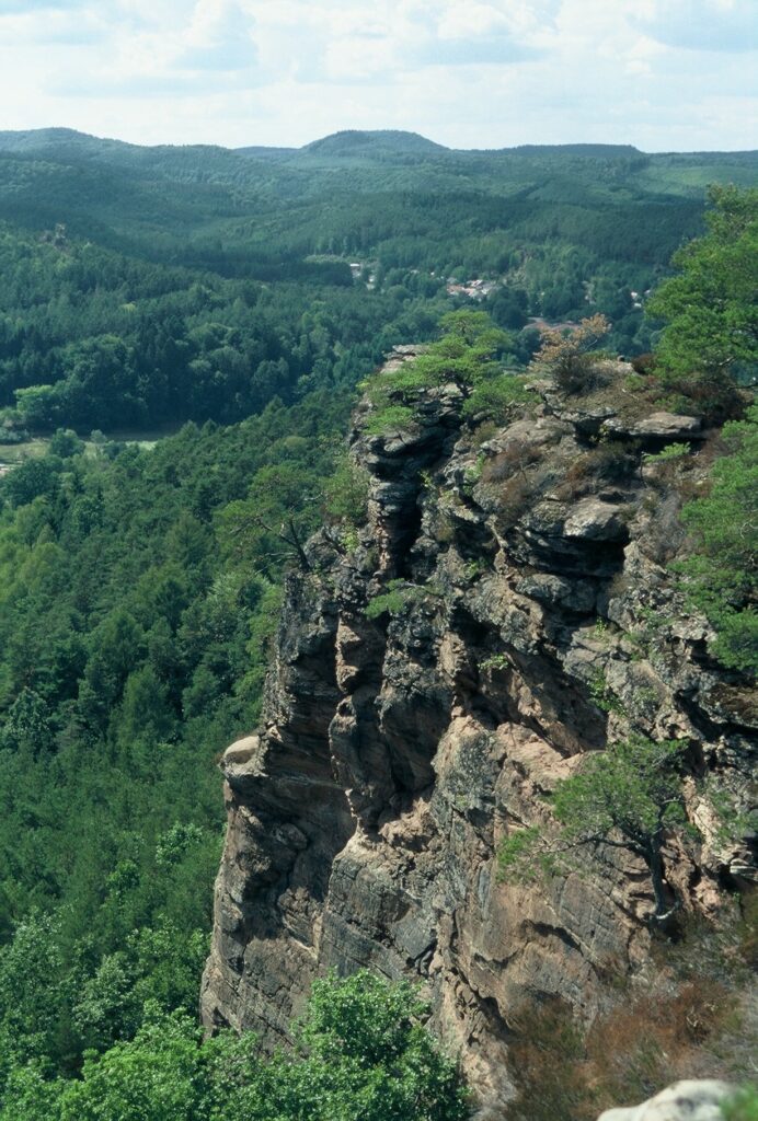 Aussicht auf eine zerfurchte Felswand und in die bewaldete Umgebung.