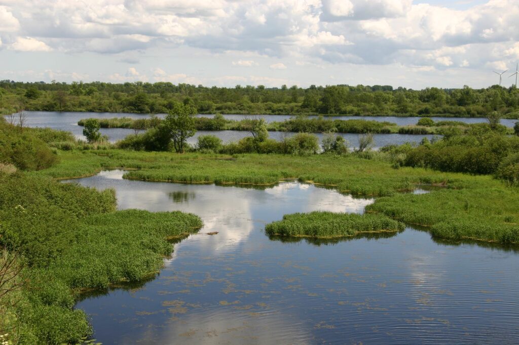Landschaft bei Breechen - Die Peene bei Breechen eignet sich perfekt zum Wasserwandern. © Mike Stegemann