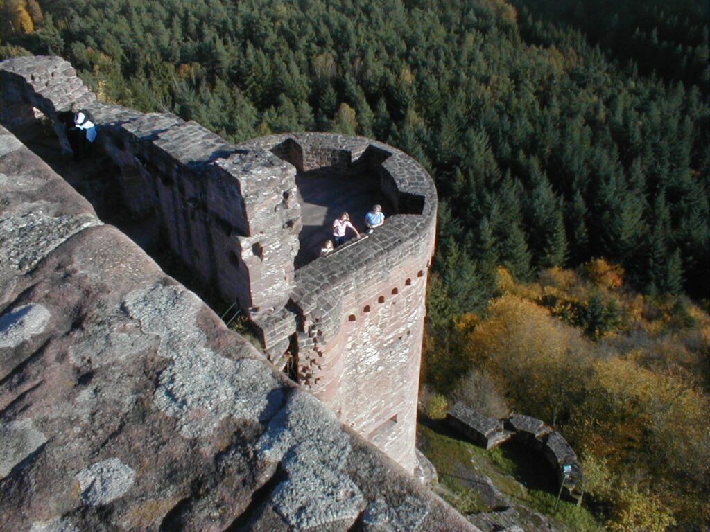 Slide image