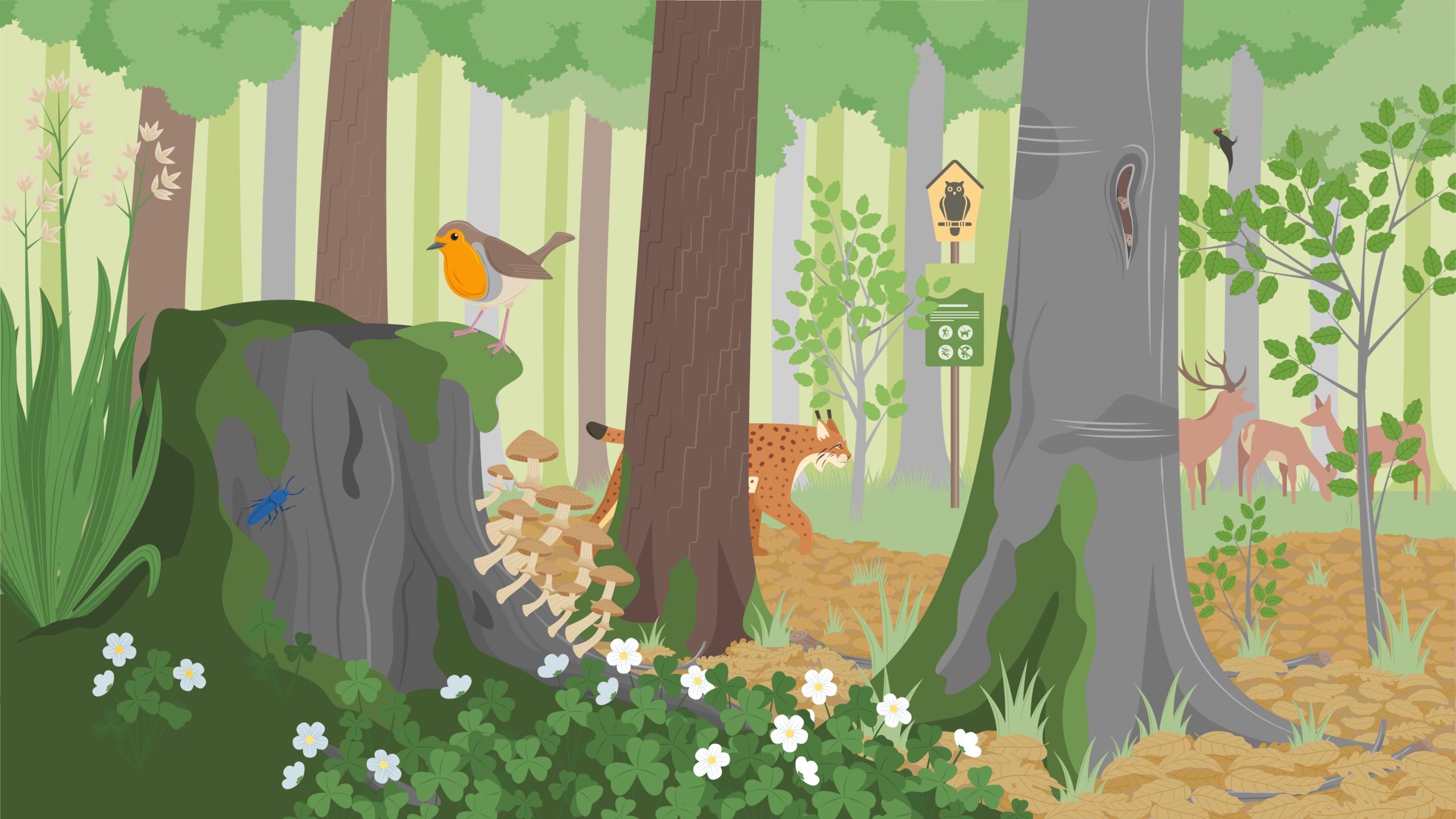 Lebensraum Wald und Wildnis