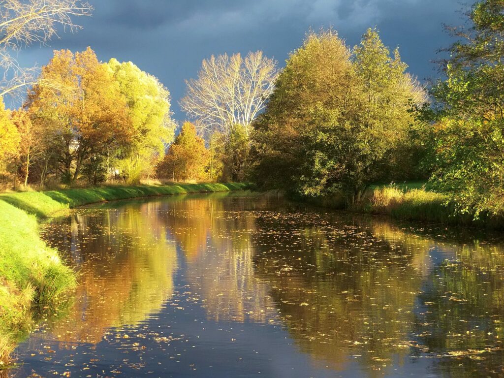 Gelbe Laubbäume leuchten in der Herbstsonne und sprenkeln ihr Laub malerisch über Wege und Flüsse.