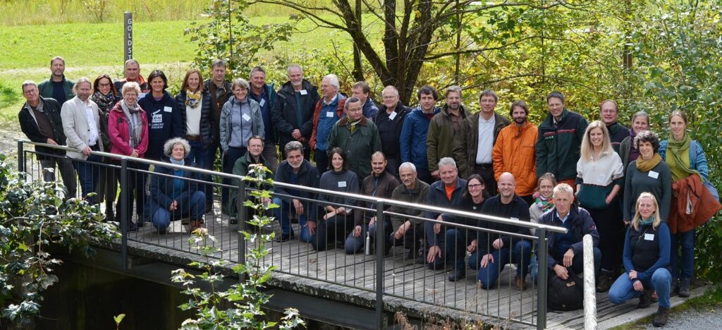 Menschen stehen auf Brücke im Grünen