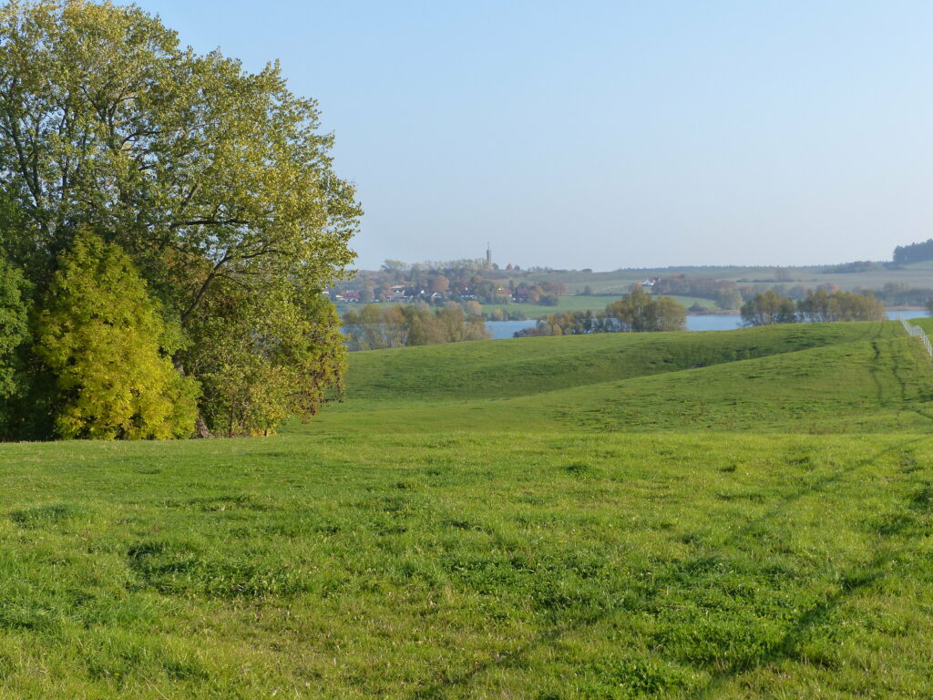Die Moränenlandschaft besteht aus vilen grasgrünen Wiesen, vereinzelten Bäumen und in der Entfernung der Upahler See.