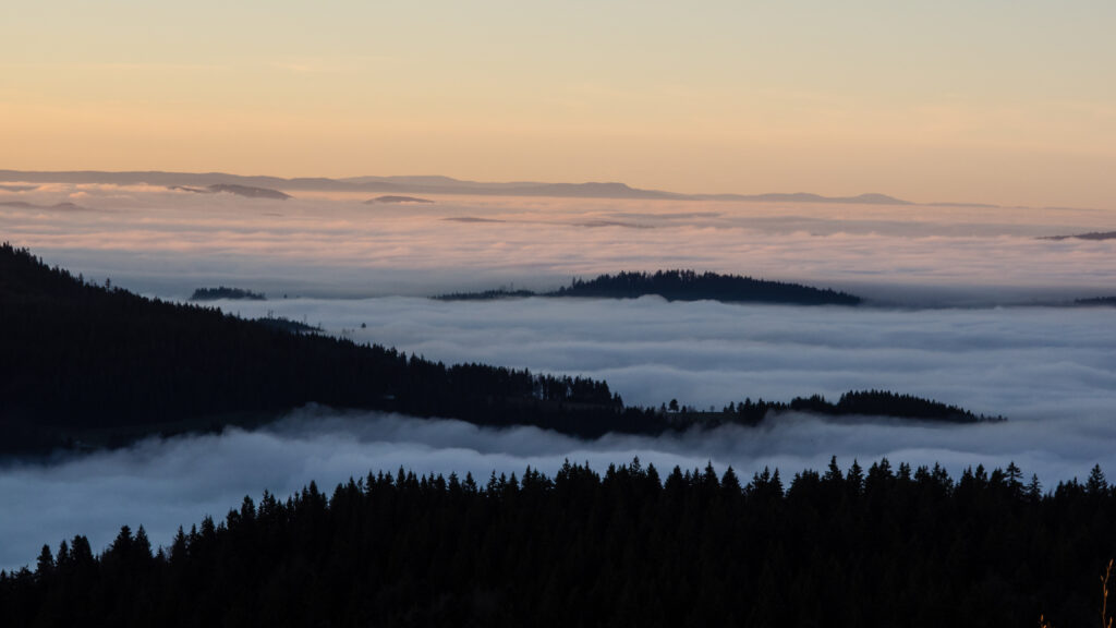 Aussicht auf nebelverhangene Täler in der Dämmerung. Zwischen den Nebelschwaden ragen bewaldete Berge auf.