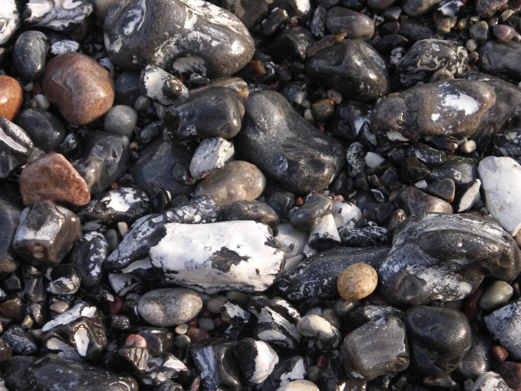 Slide image