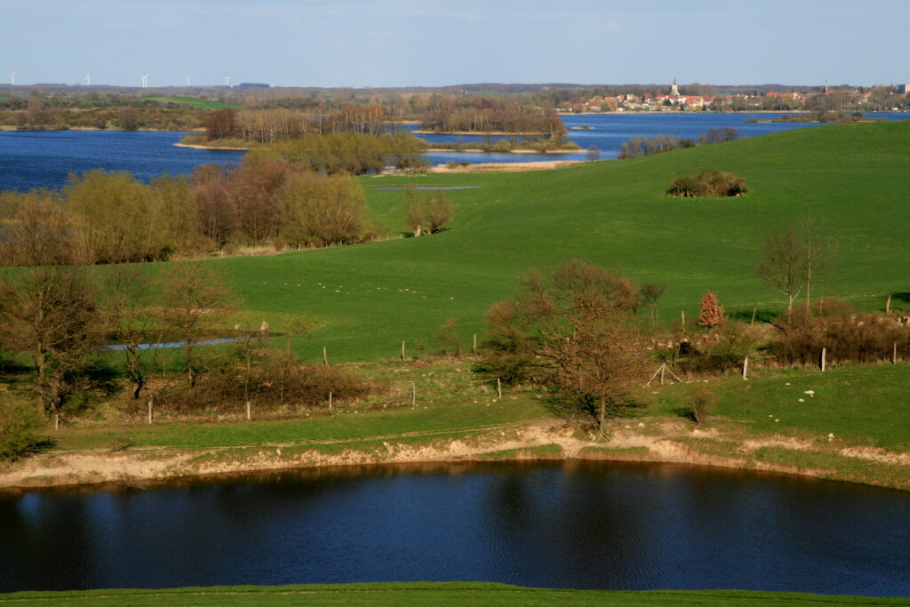 Blick über den Großen See nach Fürstenwerder. © Naturpark Uckermärkische Seen/Gert Klinger