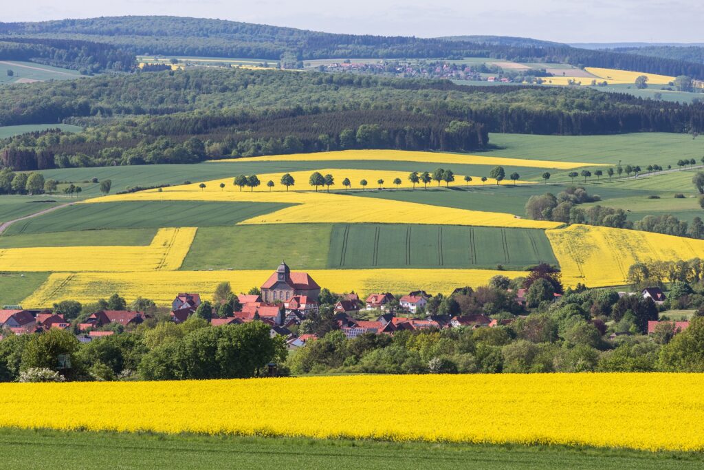 Rapsflächen und Wiesenlandschaften erstrecken sich über eine hügelige Landschaft. Zwischen ihnen liegt ein Dorf und Wälder.
