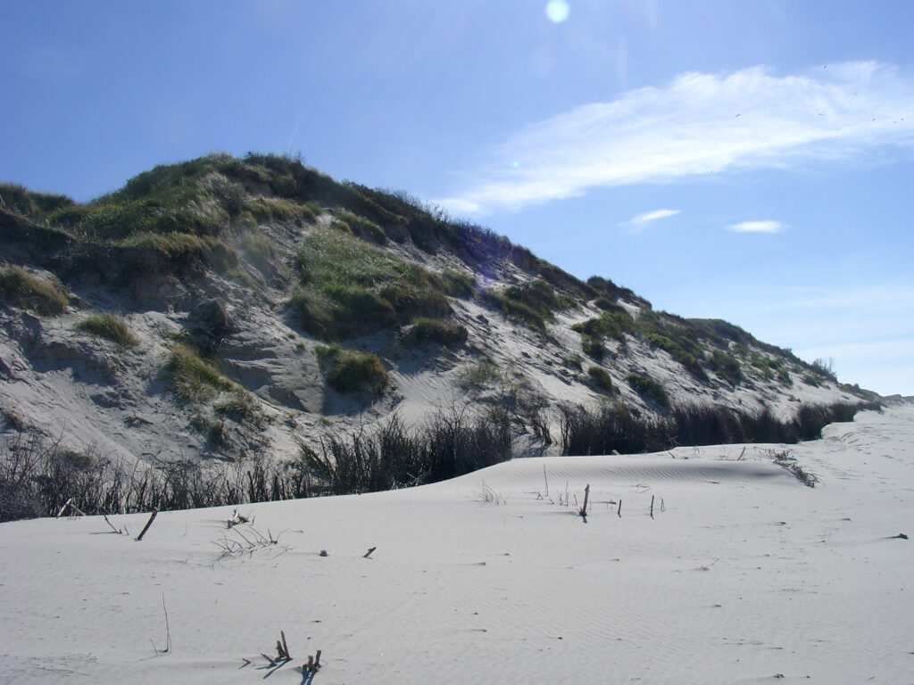 weiße Sanddüne mit grünem Bewuchs