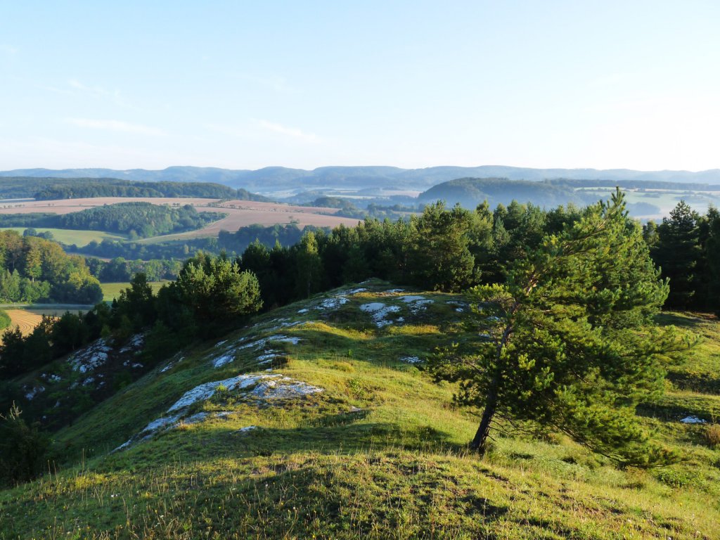 Ein weiter Ausblick ins Tal von den Sattelköpfen aus ermöglicht einen Überblick über die Wälder und Kulturlandschaften der Region.
