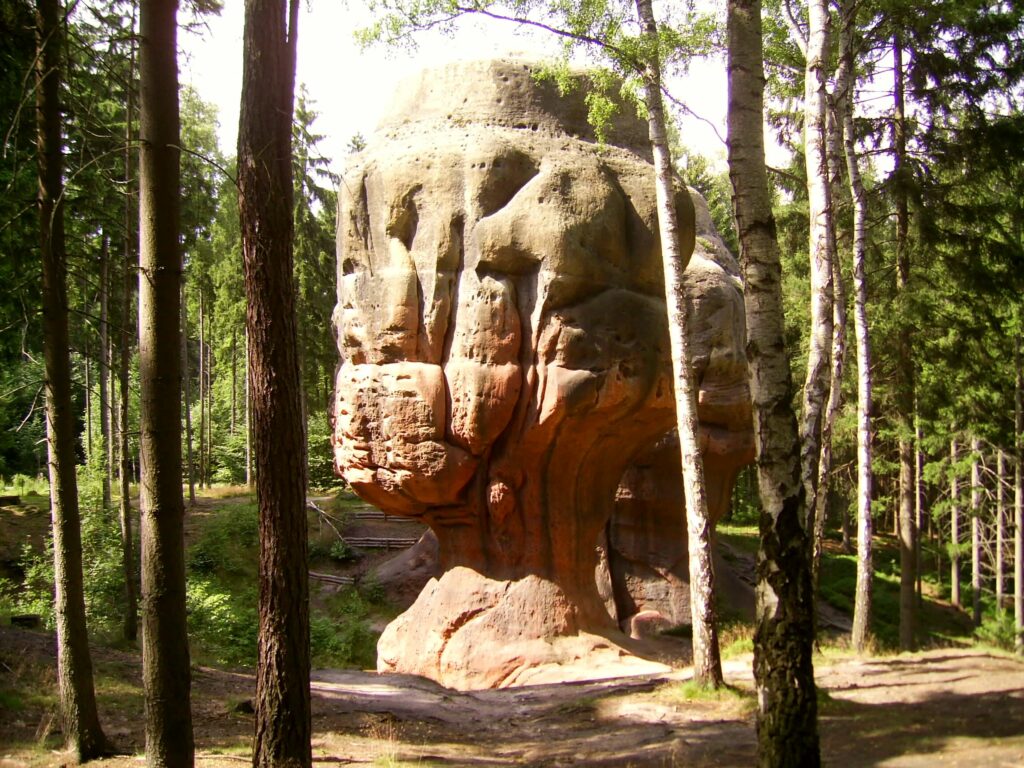 Slide image