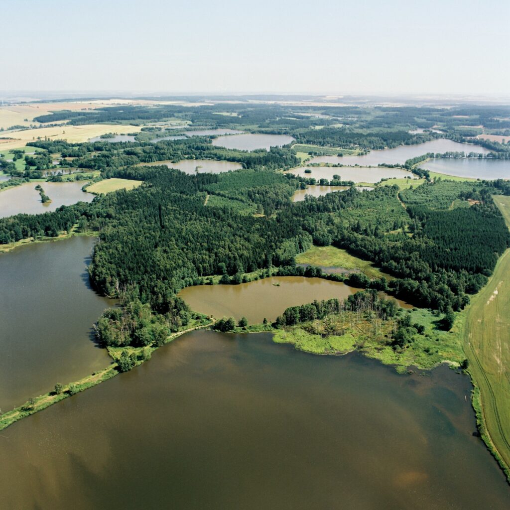 Die Luftansicht erlaubt einen Blick auf das Teichgebiet, das aus einigen großen Gewässerflächen, die durch grüne Wiesen und Wälder voneinander getrennt sind, besteht.