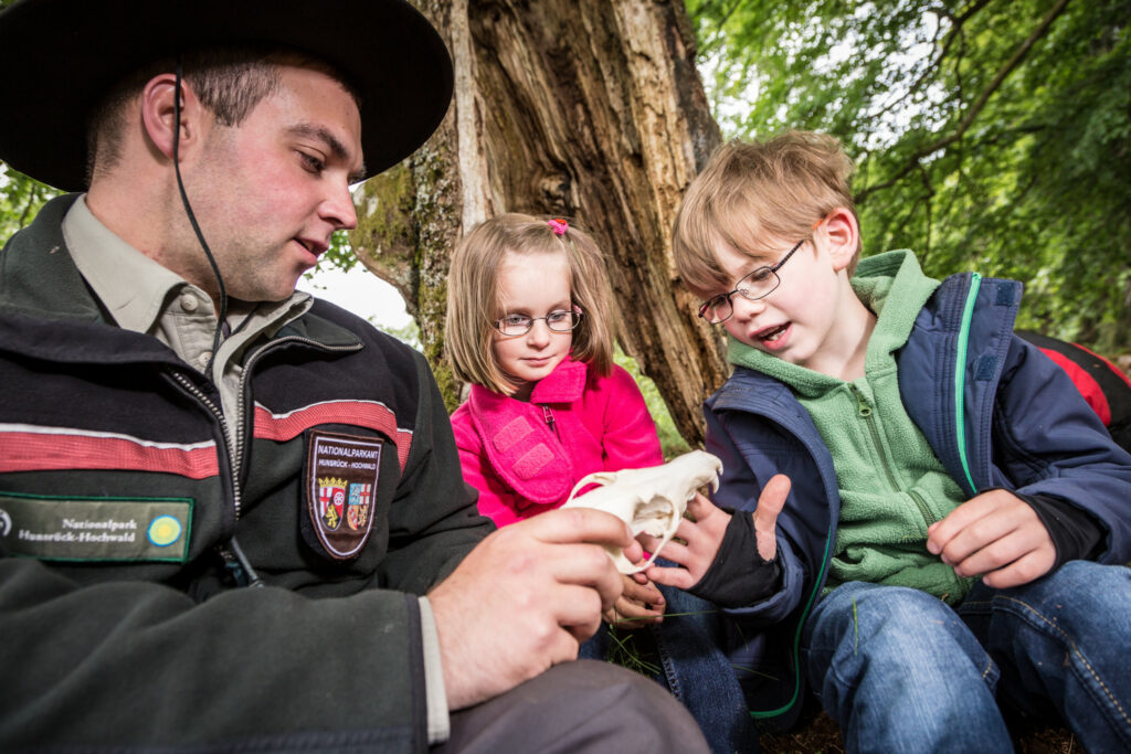 Ein Mann mit Hut und Nationalpark-Abzeichen an der Jacke zeigt zwei erstaunten Kindern den Schädel eines Tieres.