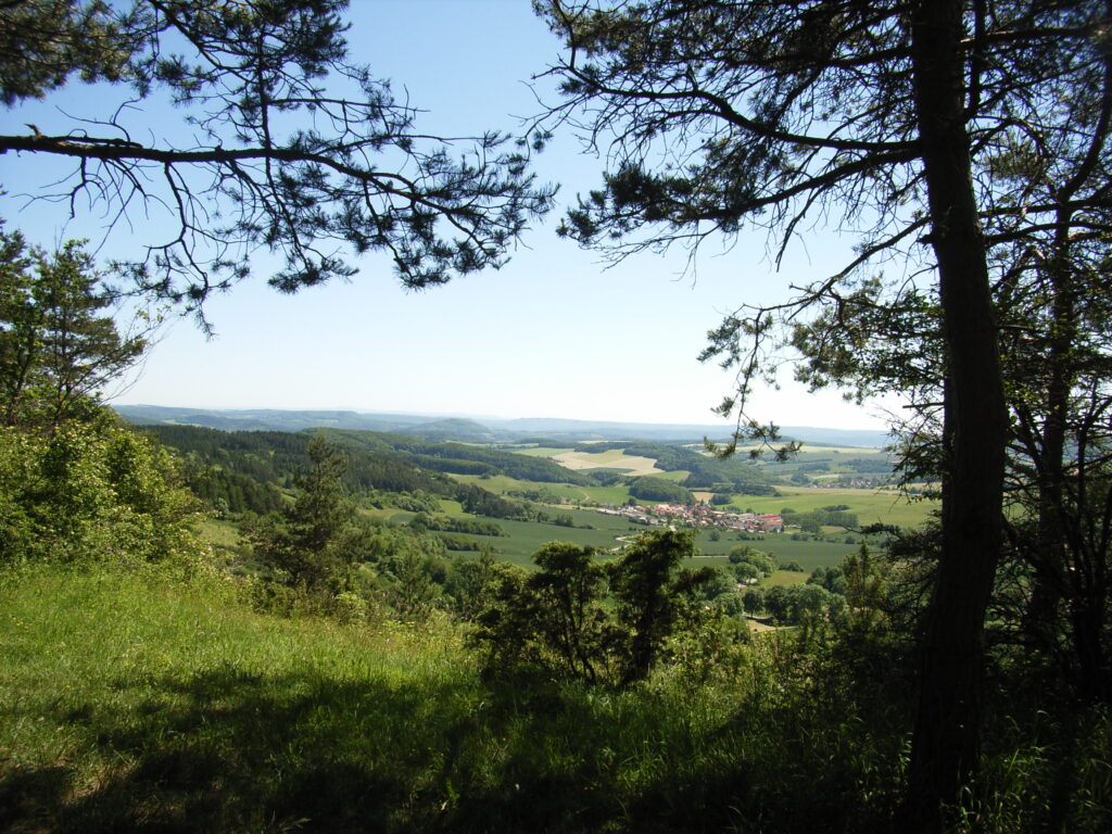 Ein Blick ins Tal mit vielen Kulturlandflächen, Wäldern und Dörfern.