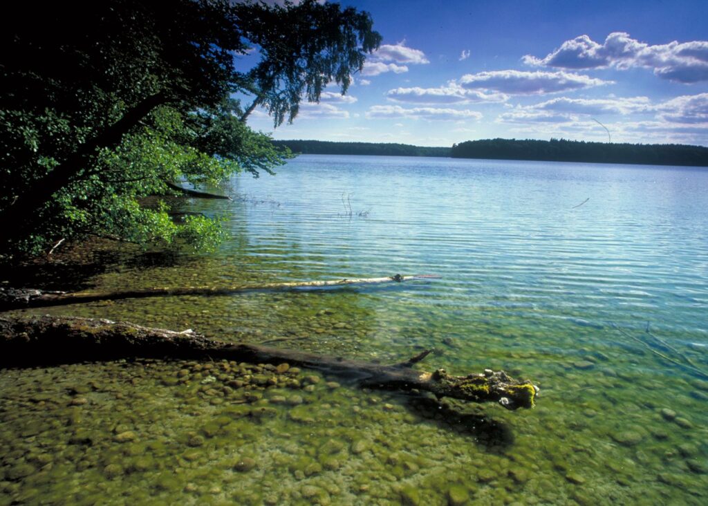 Das klare Wasser des Stechlinsees lässt die Sicht auf den Seeboden zu.