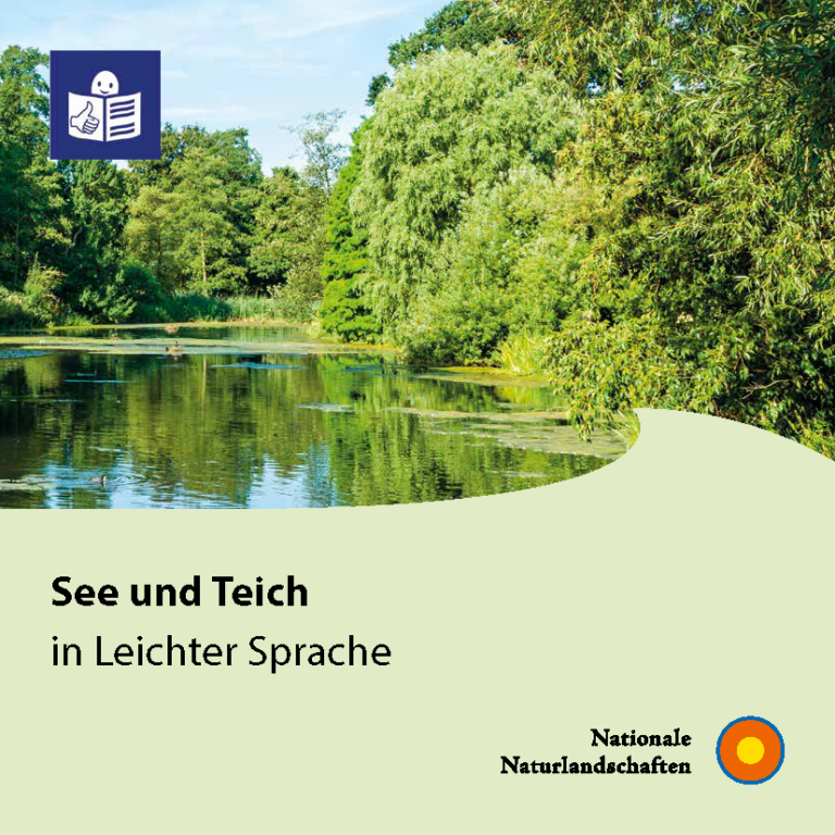 Titelblatt der Broschüre "See und Teich in Leichter Sprache"