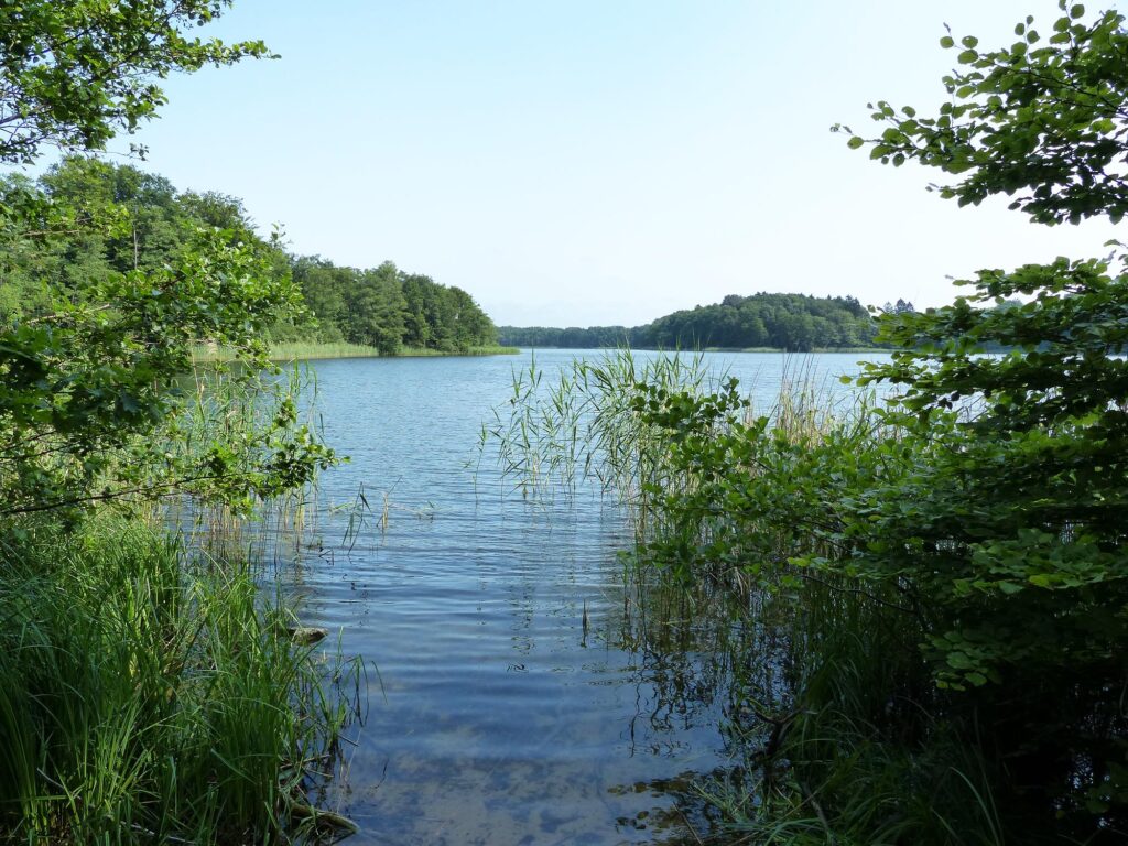 Blick auf den Groß Labenzer See und die grüne Uferlandschaft