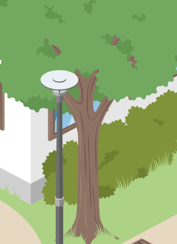 Bäume, Büsche und Wiesen