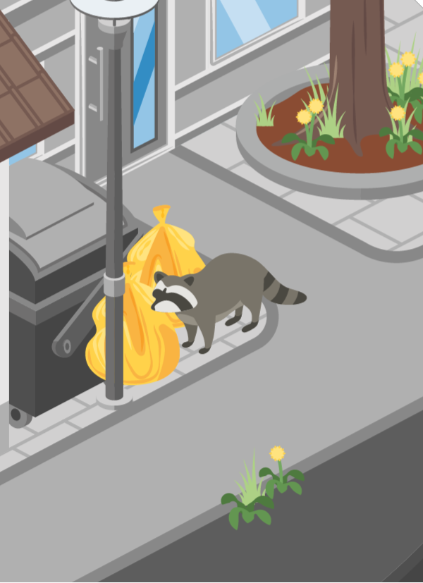 Ein Waschbär steht neben einer Mülltonne.