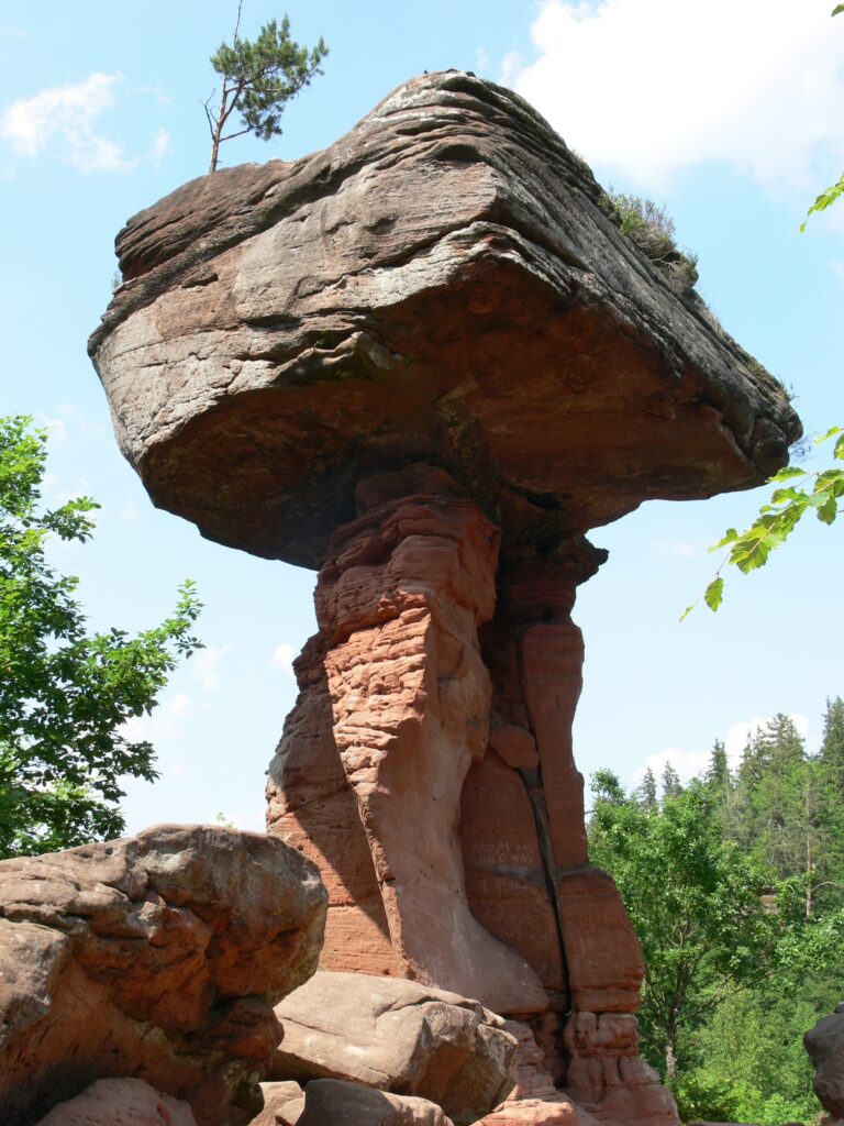 Slide image